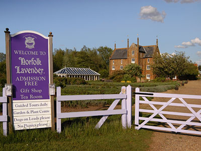 Norfolk Lavender Farm Logo